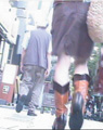 サンプルイメージ